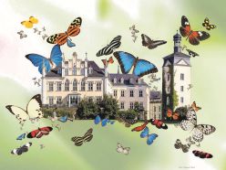 GARTEN DER SCHMETTERLINGE SCHLOSS SAYN