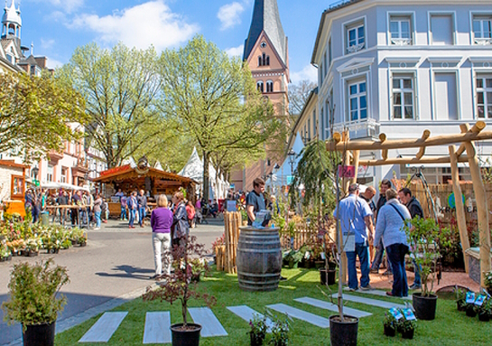 Fühl Dich Frühlich