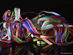 Binger Fastnachtsfahrplan