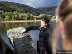 Bingen neu entdecken