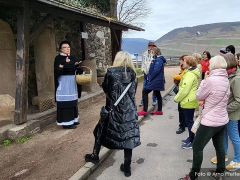 Bingen neu entdecken