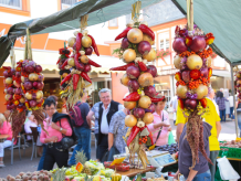 Zwiebelmarkt