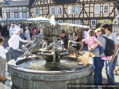 Altstadtfest in Linz