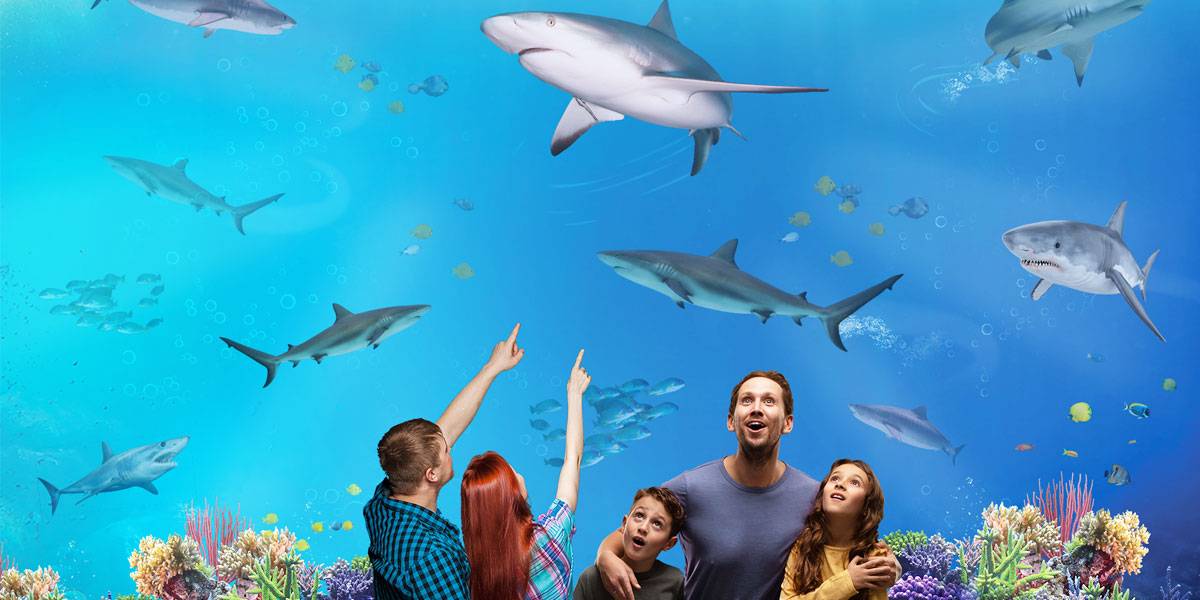 SEA-LIFE SPEYER